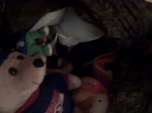 Bag of Stuffed Animals