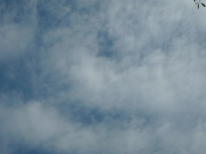 (Michael took this picture during the hayride)