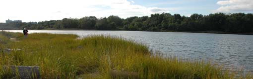 earth day & arbor day nyc parks
