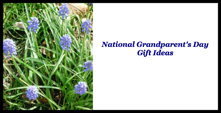 national grandparents day 2013