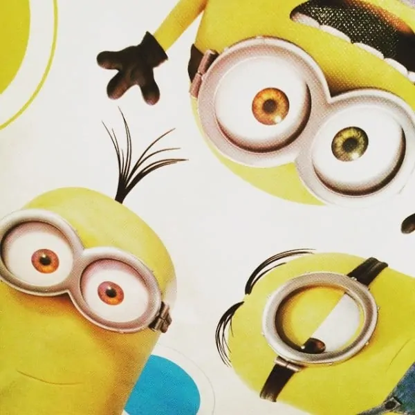 minions movie