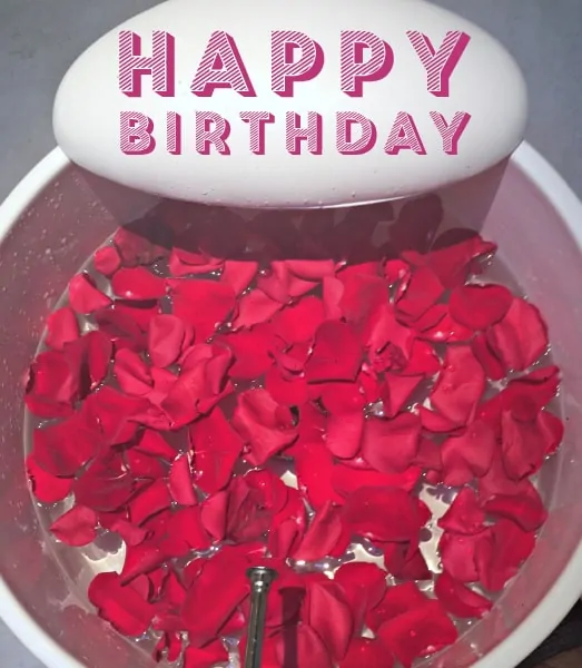 My Birthday Wishes for Moms - in addition to some pampering, these are my ten wishes for EVERY mom