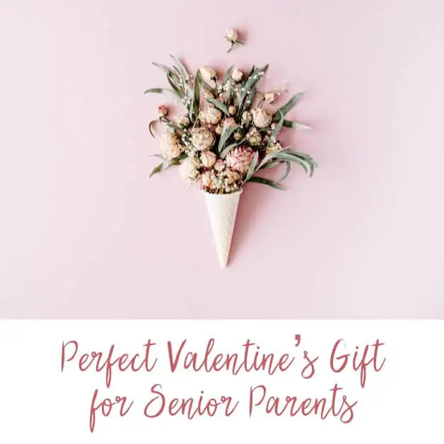 Perfect Valentine's Gift for Senior Parents