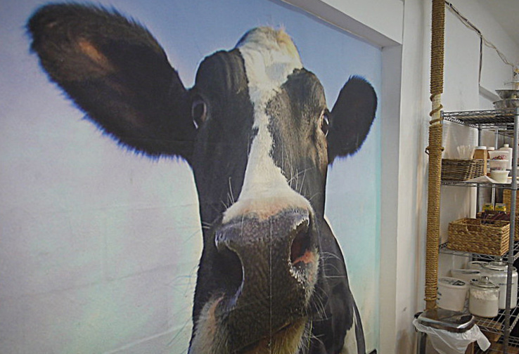 Butter Lane Cupcake Class Review