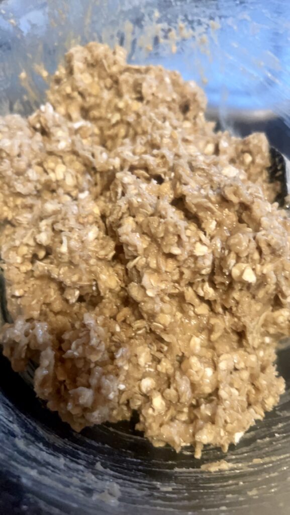 oatmeal cookie dough