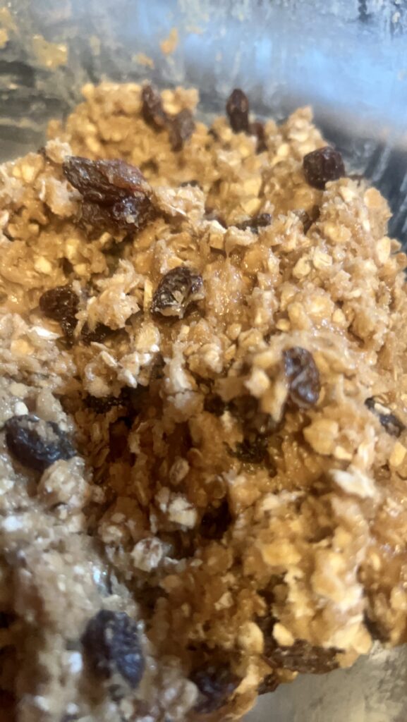 oatmeal raisin cookie dough