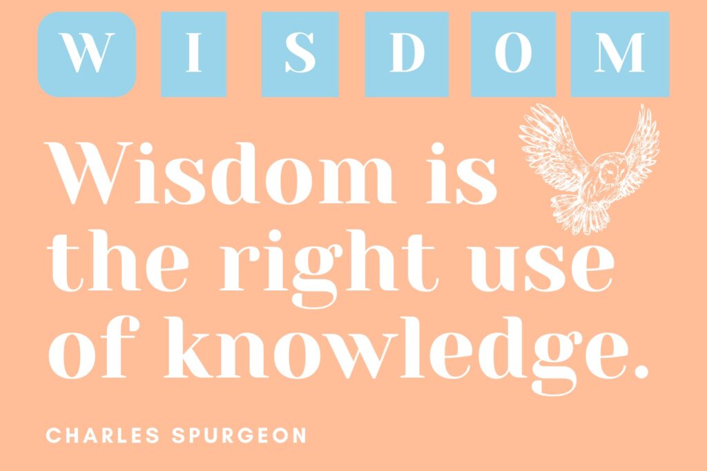 word of the year magnet